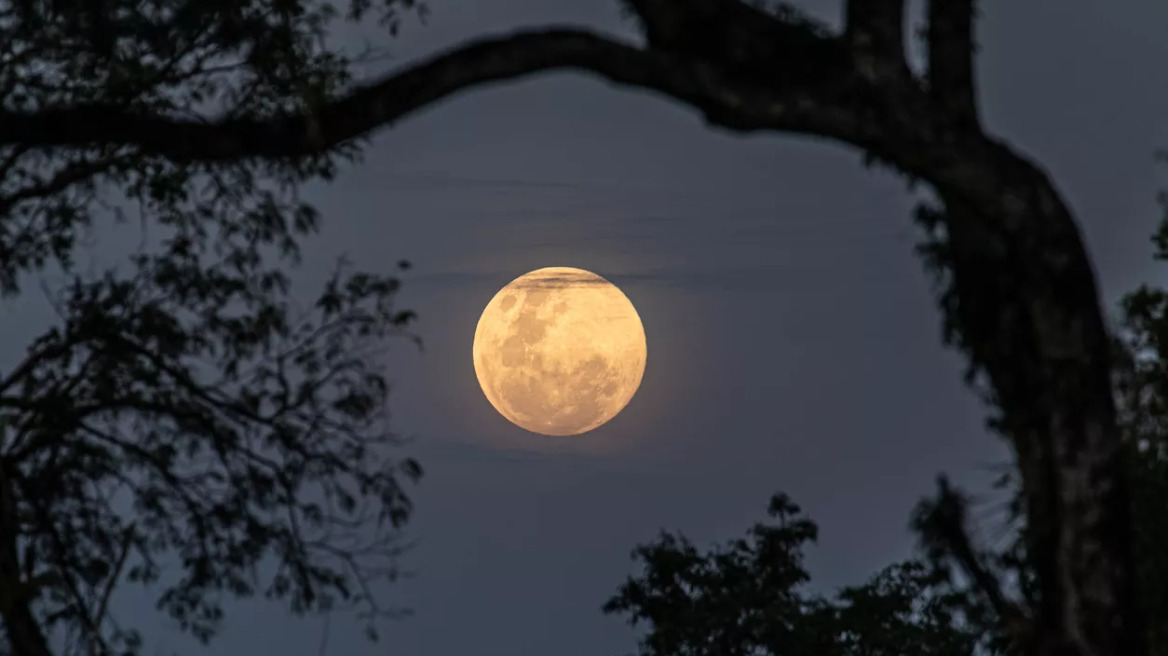 Σελήνη: Από ποιoν «χάνει τη μάχη» για τον έλεγχο στο βιολογικό ρολόι – Οι επιπτώσεις στην γονιμότητα
