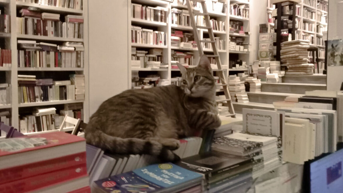 Έκλεισε το βιβλιοπωλείο Επί Λέξει στην Ακαδημίας - Να διαβάζετε, το αποχαιρετιστήριο μήνυμα των ιδιοκτητών