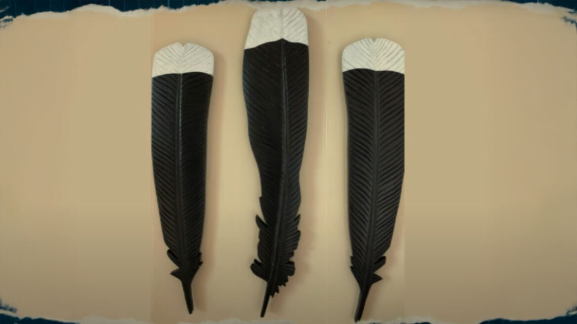 Το πιο σπάνιο και ακριβό φτερό στον κόσμο: Ζυγίζει μόλις 9 γραμμάρια, αλλά αξίζει μια περιουσία (vid)