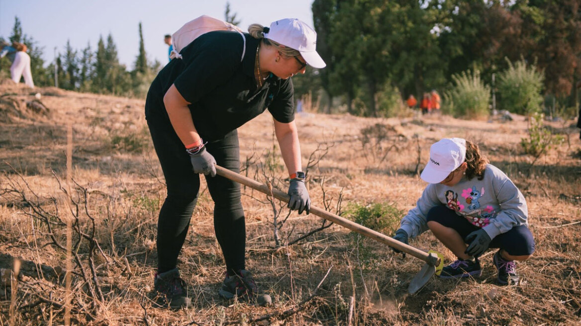 Η ομάδα της Nova πραγματοποίησε νέα περιβαλλοντική εθελοντική δράση στην Ιερά Μονή Πεντέλης
