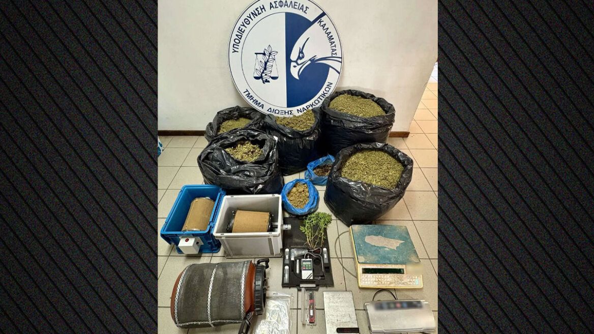 Σύλληψη στη Μεσσηνία για παραβίαση της άδειας για βιομηχανική κάνναβη - Θα έβγαζε 75.000 ευρώ