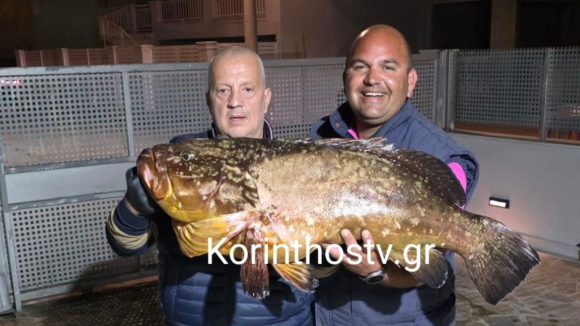 Ψάρεψαν ροφό-γίγα 20 κιλών στον Κορινθιακό
