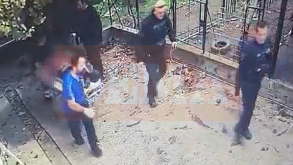 Νέο βίντεο λίγο μετά την άγρια επίθεση του ροτβάιλερ στην Καλαμάτα - Έχω σοκαριστεί, είχαμε το σκυλί 10 χρόνια, λέει ο γιος του τραυματία