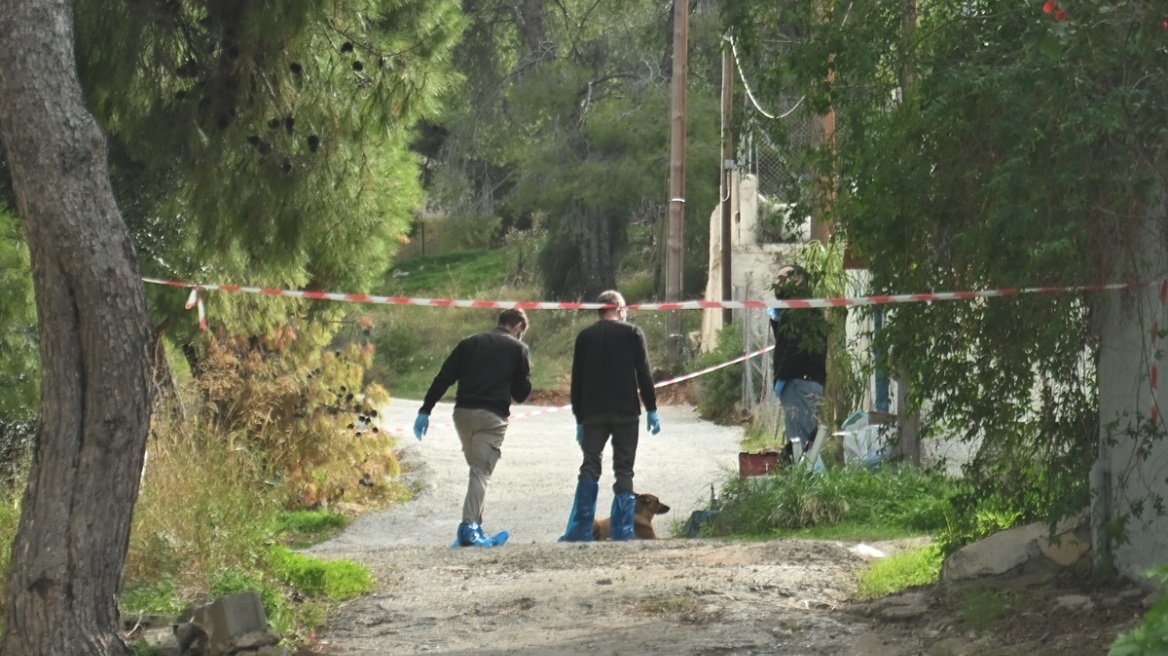 Φρικτό θάνατο για την 75χρονη στη Σαλαμίνα έδειξε το πόρισμα – «Τη βασάνισαν με μίσος», λέει ο γιος της