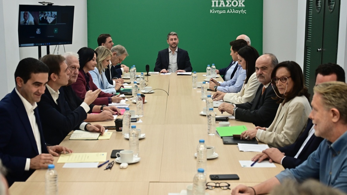 Ποιοι πιέζουν Ανδρουλάκη να ξεκαθαρίσει στρατηγική για τις εκλογές - Με «αγκάθια» το ΠΑΣΟΚ προς το Συνέδριο