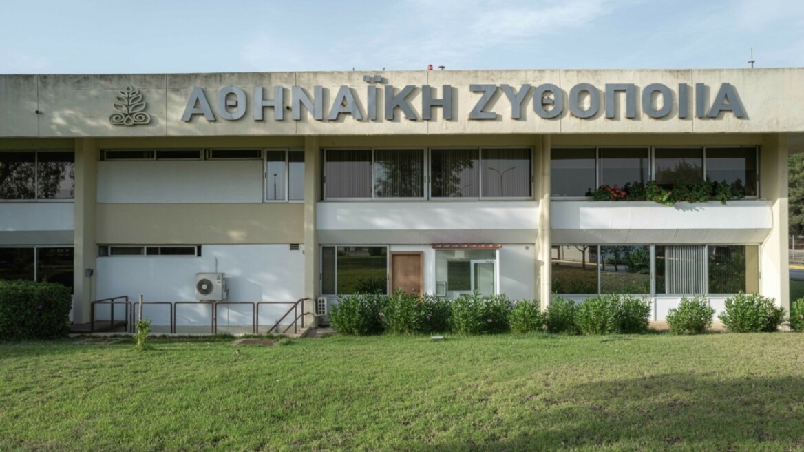 Αθηναϊκή Ζυθοποιία: Οι θέσεις που ανέπτυξε στο δικαστήριο του Άμστερνταμ για την υπόθεση με τη Ζυθοποιία Μακεδονίας Θράκης