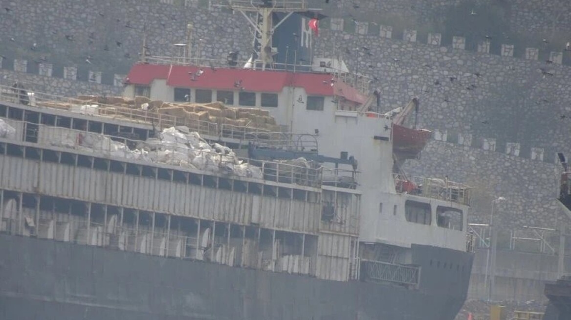 Παγιδευμένες στο πλοίο παραμένουν χιλιάδες αγελάδες «χωρίς χαρτιά» στην Τουρκία - Τουλάχιστον 58 πέθαναν, άλλες 140 γέννησαν
