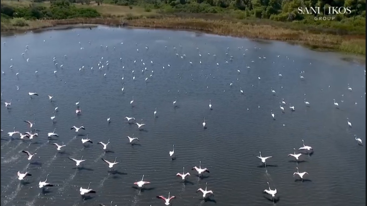 Sani/Ikos Group - sustainable growth across the Mediterranean