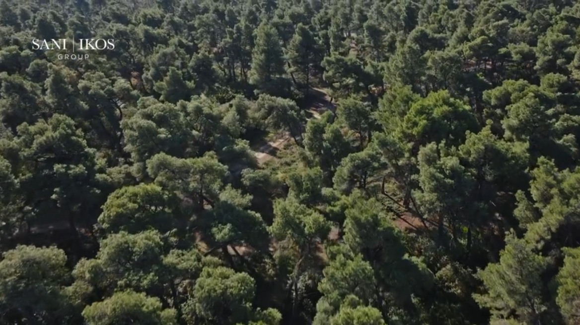 Sani I Ikos. Sani Forest