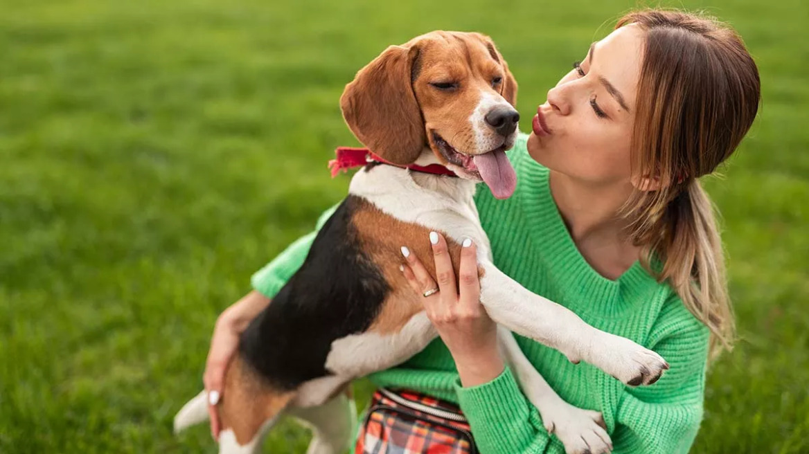 Υπάρχουν σκύλοι με αυτισμό; Τι λέει η επιστήμη για την νευροδιαφορετικότητα σε ζώα και ανθρώπους
