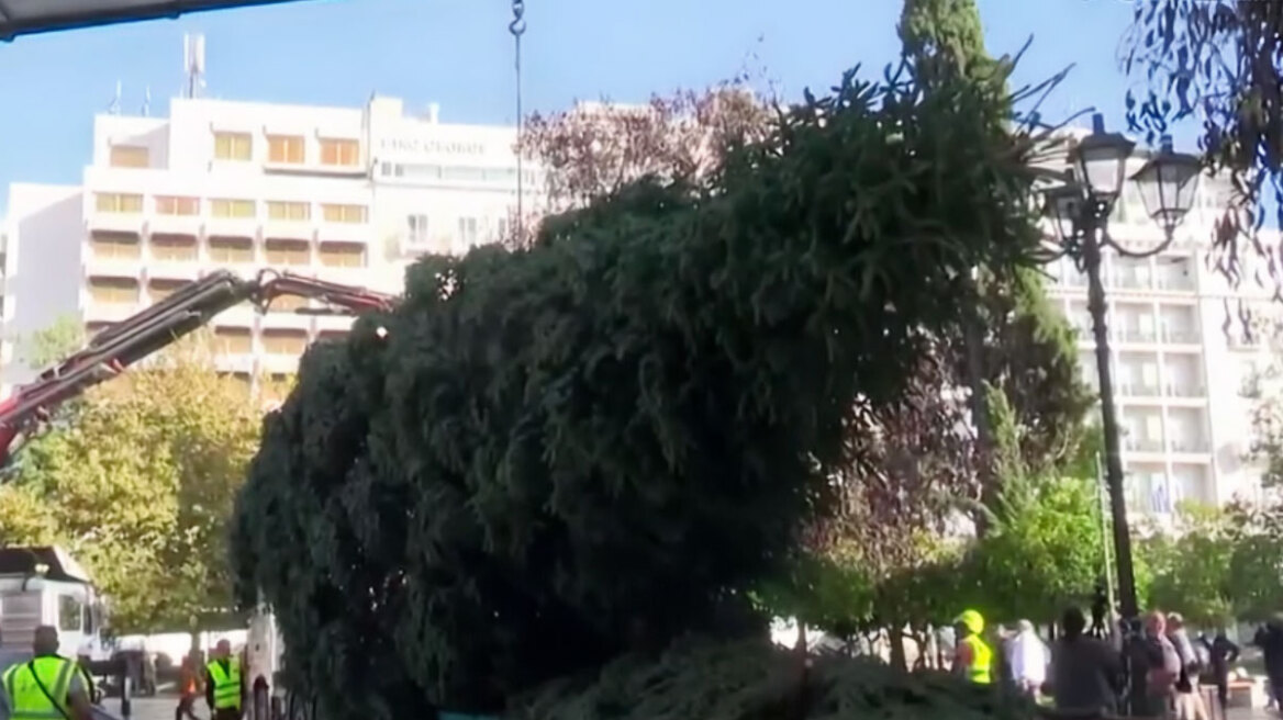 Έφτασαν σε Σύνταγμα και Αριστοτέλους τα χριστουγεννιάτικα δέντρα σε Αθήνα και Θεσσαλονίκη - Δείτε βίντεο