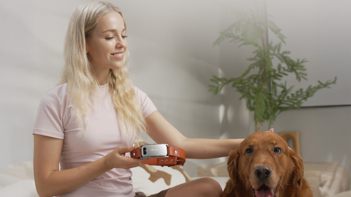 Πρωτοποριακή τεχνολογία για κατοικίδια: Έξυπνα περιλαίμια μεταφράζουν όσα λένε οι σκύλοι