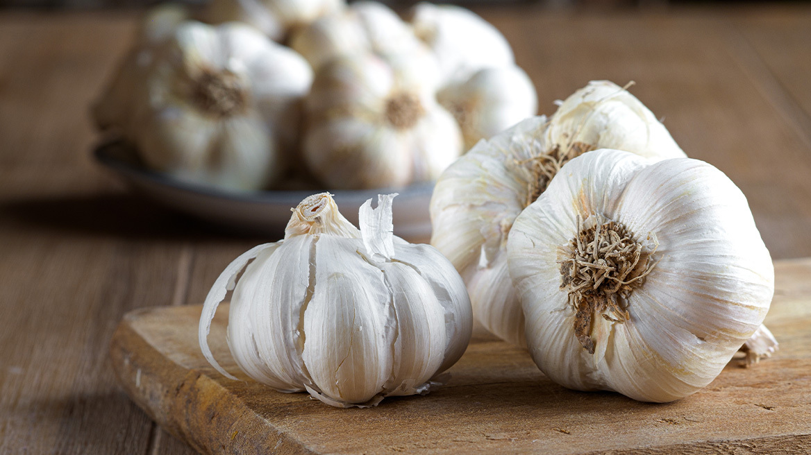 Γιατί το σκόρδο θεωρείται ό,τι καλύτερο για να φάει κάποιος - Τα οφέλη του για την υγεία και τα δυσάρεστα συμπτώματα