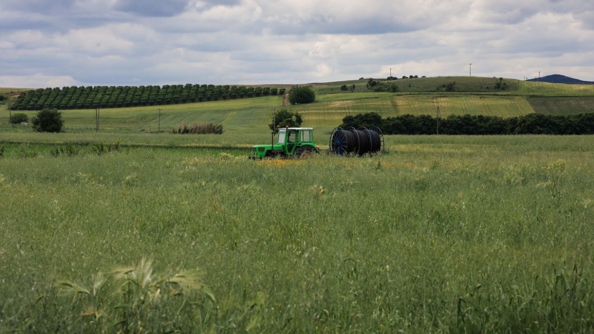 Σήμερα στους λογαριασμούς των αγροτών η προκαταβολή της ενιαίας ενίσχυσης