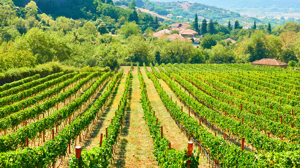 Οι αλλαγές στους ελέγχους «ξεκλείδωσαν» 1,7 δισ. ευρώ - Θα γίνει ανακατανομή υπέρ των ειλικρινών αγροτών, είπε ο Χατζηδάκης  