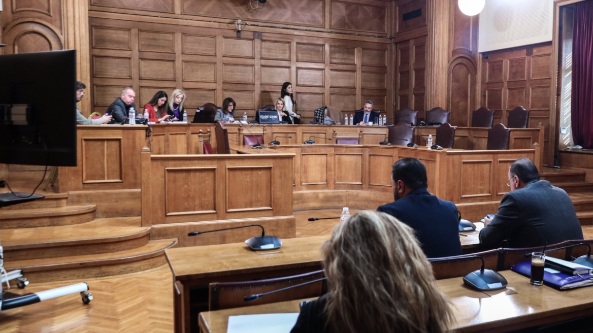 «Ο ΟΠΕΚΕΠΕ καθυστερούσε να δώσει στοιχεία, εάν διαπιστώναμε απάτη θα το αναφέραμε», κατέθεσε ορκωτή λογίστρια στην εξεταστική