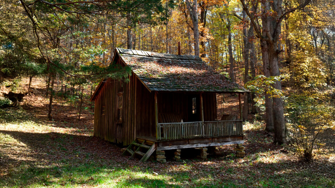 Ο ξυλουργός που αγόρασε ένα κομμάτι γης και έγινε εκατομμυριούχος με μια απλή ιδέα