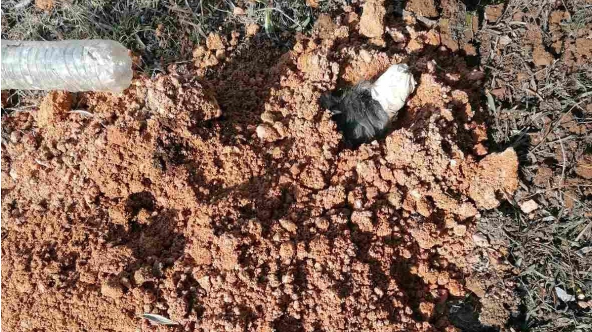 «Είναι να αναρωτιέσαι ποιος έχει 2 και ποιος 4 πόδια»: Το μήνυμα της ΕΛΑΣ για τις ανατριχιαστικές φωτογραφίες του σκύλου που έθαψε ζωντανό 90χρονος