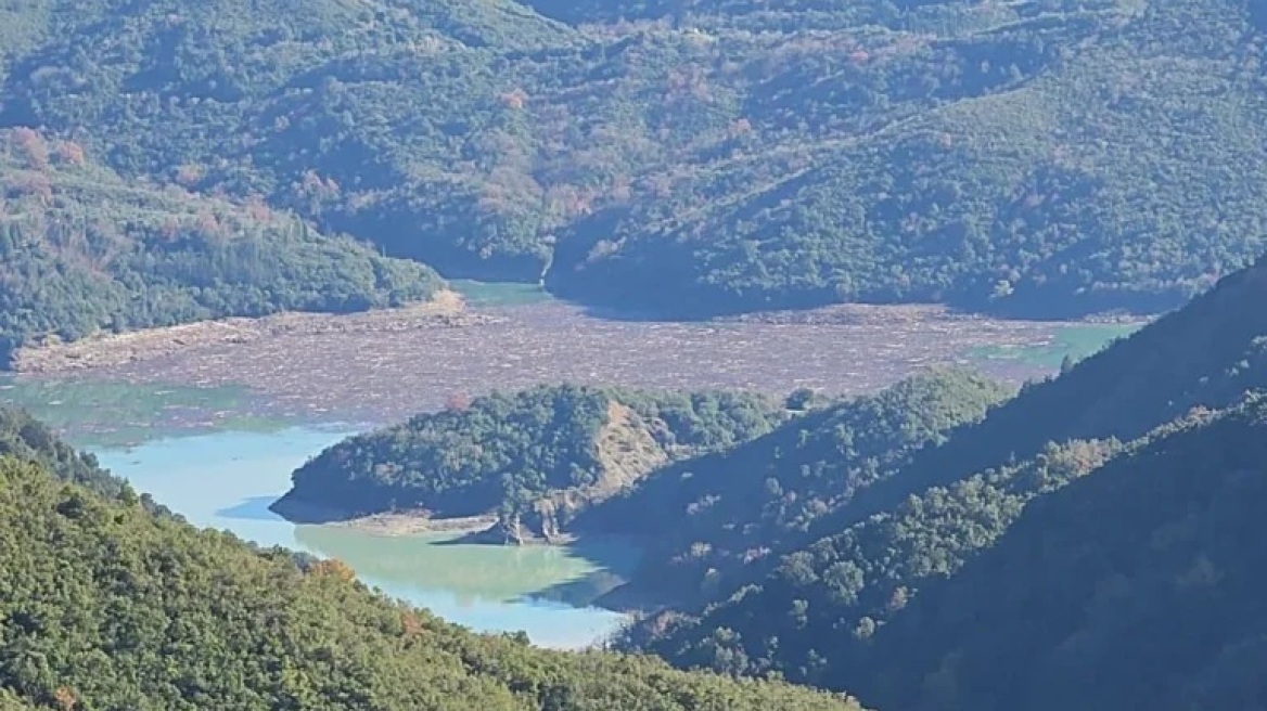 Άρτα: Χιλιάδες κορμοί δέντρων έχουν καλύψει τη λίμνη Πουρναρίου μετά τις ισχυρές βροχοπτώσεις