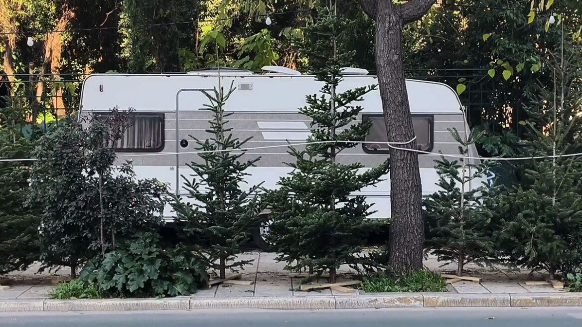 «22 μέρες σε τροχόσπιτο»: Η νομαδική ζωή ενός ελατοπαραγωγού πίσω από τα χριστουγεννιάτικα δέντρα
