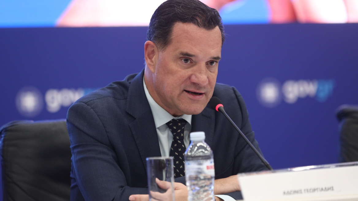 Γεωργιάδης για Κωνσταντοπούλου: Ούτε τρελή είναι, ούτε χαζή, ψάχνει την πολιτική της επιβίωση σε ένα ακροατήριο που γουστάρει χάος και ψευτομαγκιά