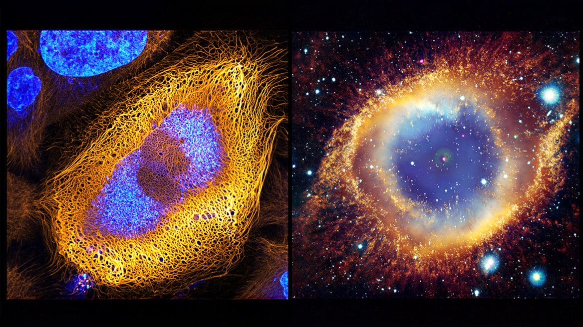 New Perspectives: Από το απέραντο διάστημα έως τη μικροκλίμακα της φύσης