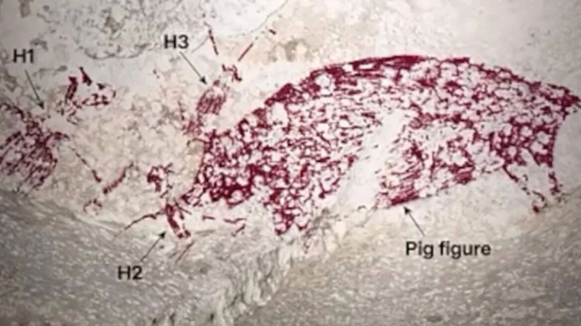 Η αρχαιολογική ανακάλυψη του αιώνα: Το έργο τέχνης 51.200 ετών που αλλάζει όσα ξέραμε για την ανθρωπότητα