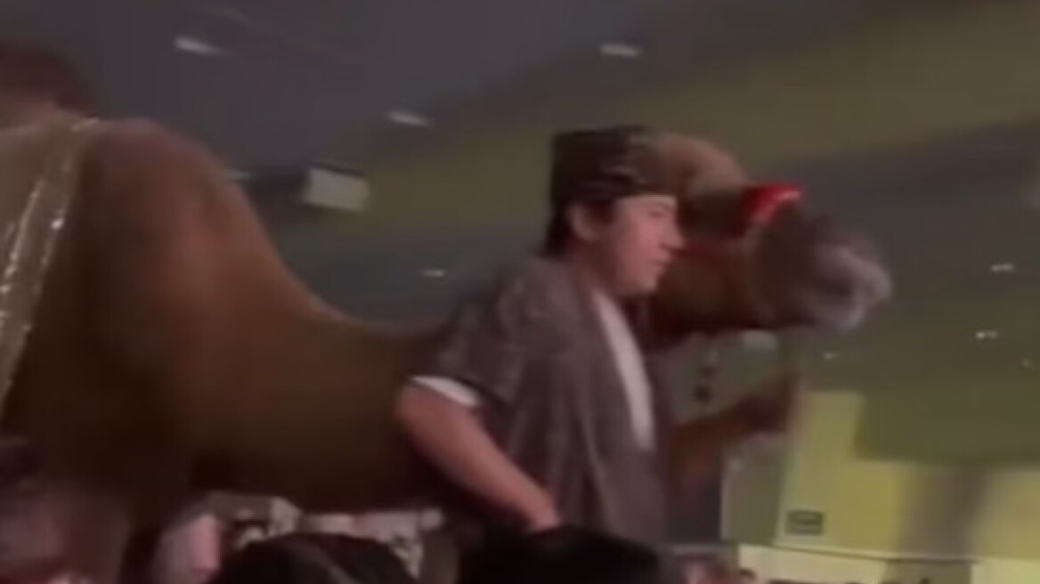 Καμήλα  κλώτσησε γυναίκα θεατή σε χριστουγεννιάτικη παράσταση εκκλησίας στο Χιούστον, δείτε βίντεο