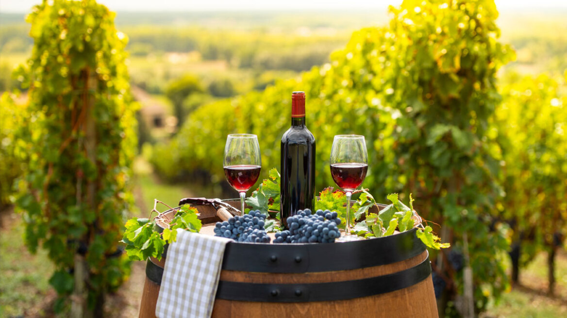 Καμπανία, Αλσατία, Βουργουνδία: Ταξίδι γευσιγνωσίας με τρένο στην καρδιά της Γαλλίας