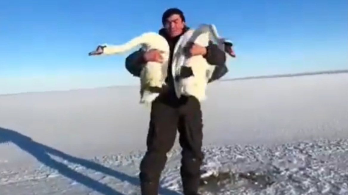 Βίντεο: Συγκινητική διάσωση κύκνων στο Καζακστάν που είχαν παγιδευτεί σε παγωμένη λίμνη 
