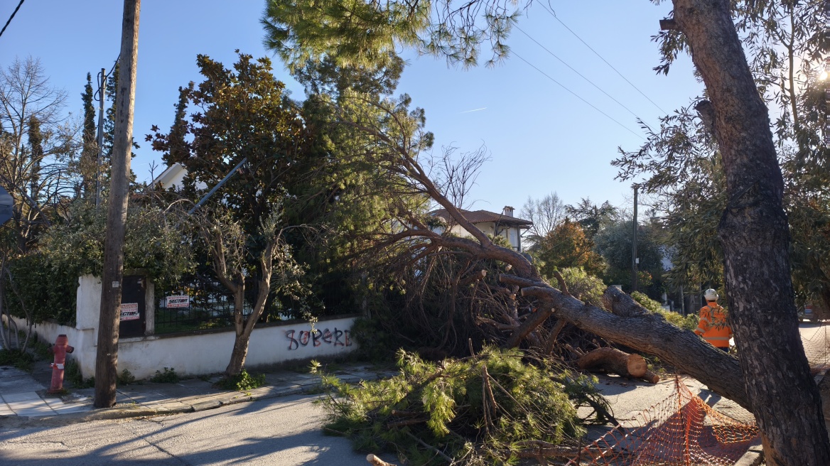 Οι ισχυροί άνεμοι σάρωσαν την Κεντρική Μακεδονία: 710 κλήσεις στην πυροσβεστική, 141 κοπές δέντρων στη Θεσσαλονίκη