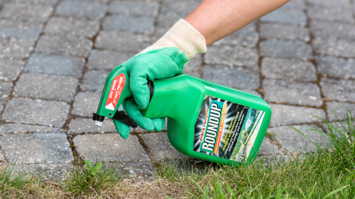 Η γλυφοσάτη ξανά στο προσκήνιο: Η πρόταση της Κομισιόν για επ' αόριστον έγκριση επαναφέρει μια παλιά διαμάχη