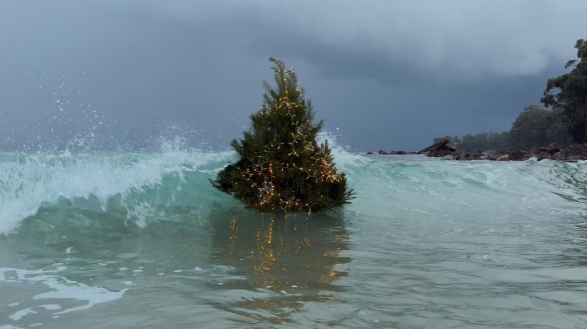 Η ιστορία πίσω από το χριστουγεννιάτικο δέντρο που έγινε viral
