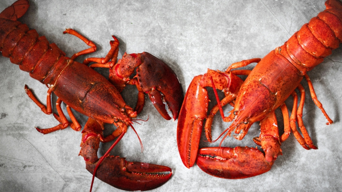 Έκλεψαν αστακούς αξίας 400.000 δολαρίων με προορισμό καταστήματα της Costco στις ΗΠΑ