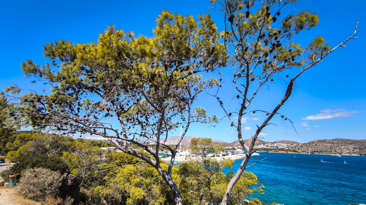 Καιρική ανασκόπηση 2025: 9 στους 12 μήνες είχαν θερμοκρασίες υψηλότερες από το κανονικό
