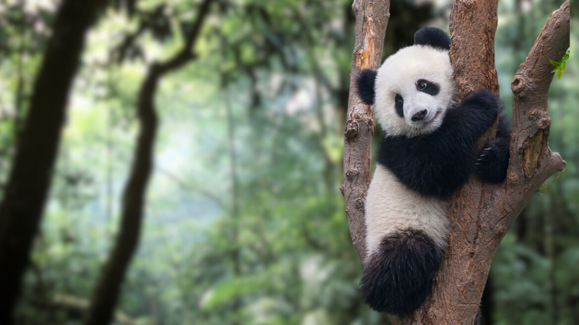 Οι πρώτες 8 καλές ειδήσεις του 2026