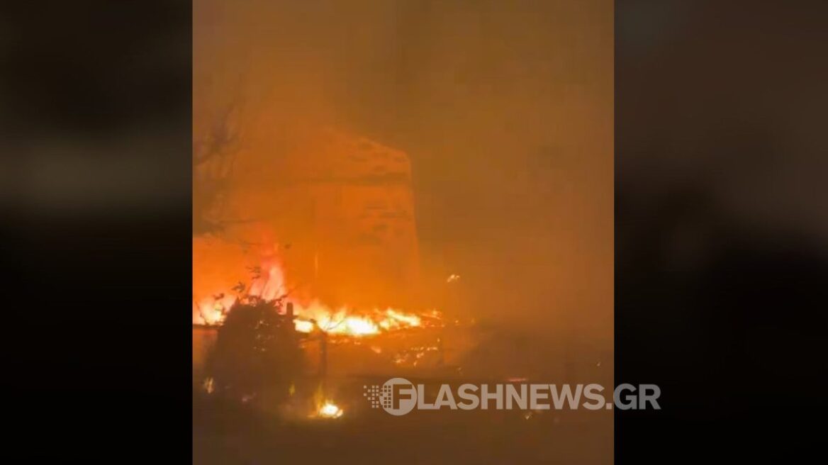 Συναγερμός στην Πυροσβεστική για μεγάλη φωτιά στην Κίσσαμο - Καίει κοντά σε σπίτια
