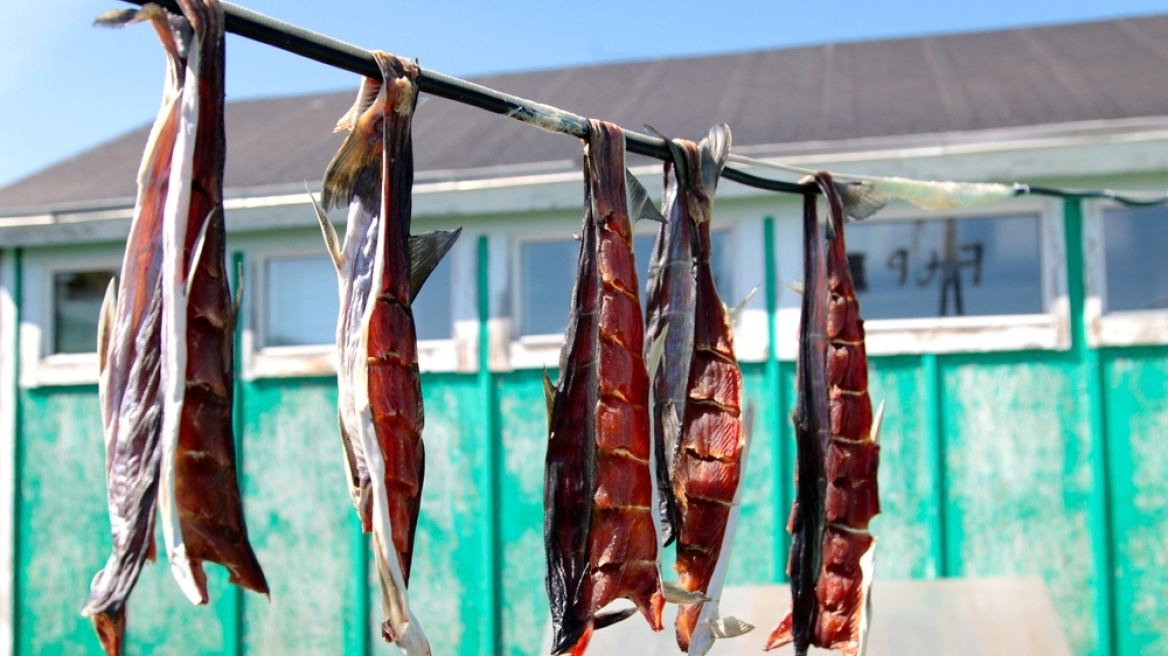 Η κουζίνα της Γροιλανδίας: Τι τρώνε στον πιο παγωμένο τόπο του πλανήτη