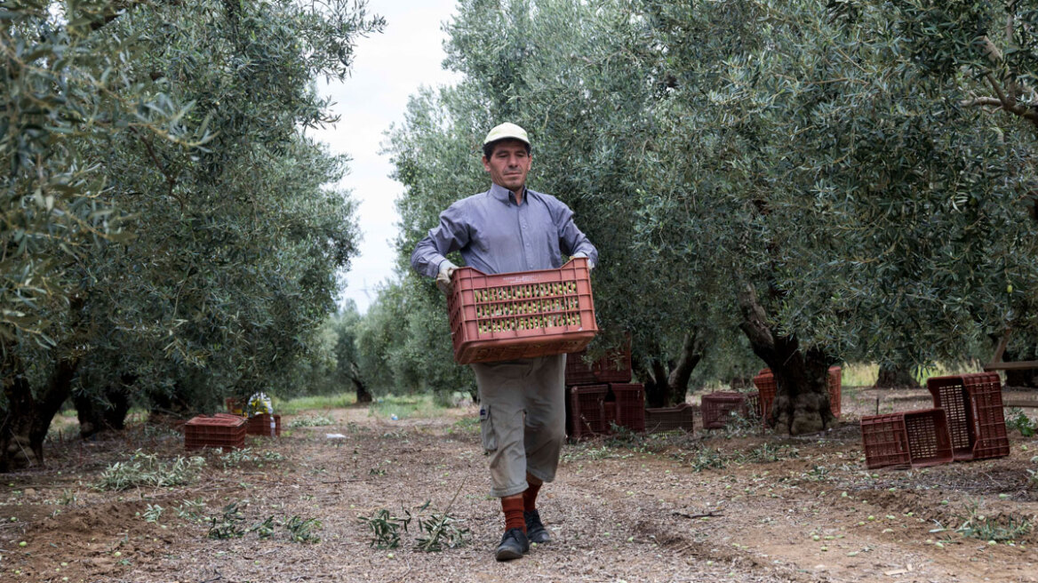 Άνοιγμα σε αγορά 300 εκατ. καταναλωτών για τα ελληνικά προϊόντα από τη συμφωνία ΕΕ-Mercosur: Οφέλη για λάδι, τυριά, ακτινίδια, ροδάκινα, αρτοσκευάσματα 