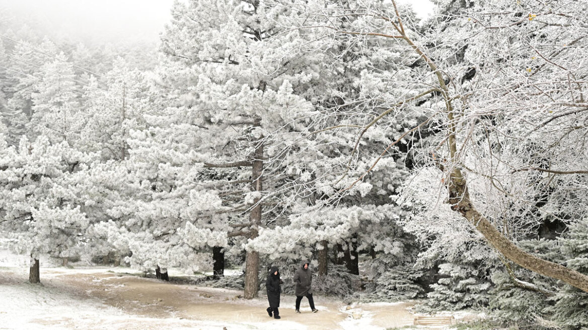 Έπεσαν τα πρώτα χιόνια στην Πάρνηθα, δείτε εντυπωσιακές φωτογραφίες