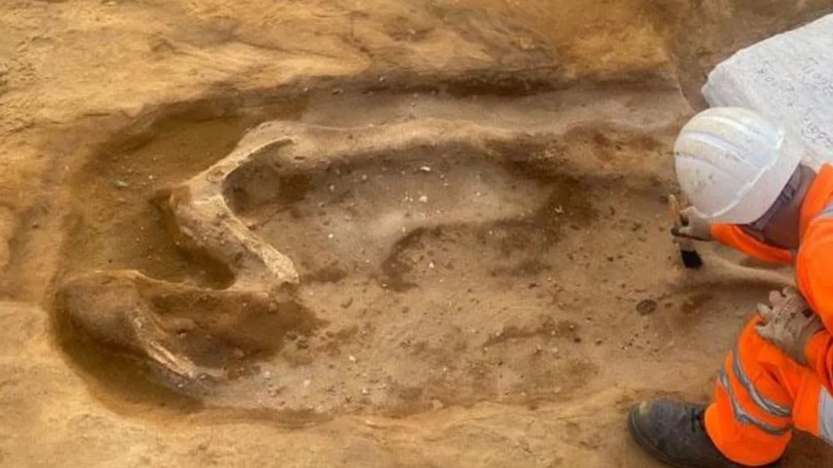 Τα έργα για πυρηνικό σταθμό στη Βρετανία αποκάλυψαν «πριγκιπικό» τάφο, δείτε εικόνες