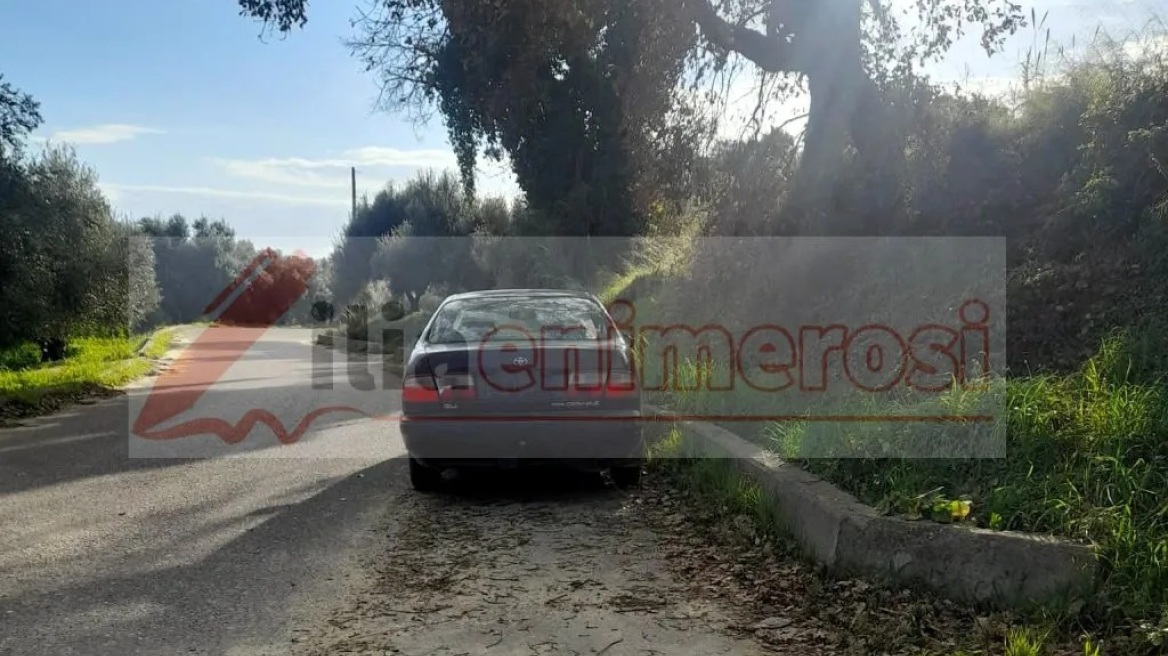 Νεκρός 79χρονος στην Ηλεία την  ώρα που έκαιγε κλαριά
