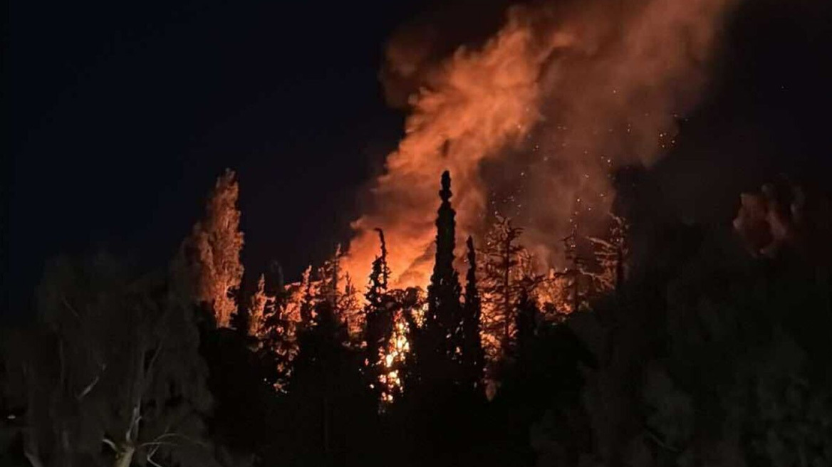 Φωτιά στη Δάφνη, στο άλσος κοντά στον σταθμό του μετρό Άγιος Ιωάννης