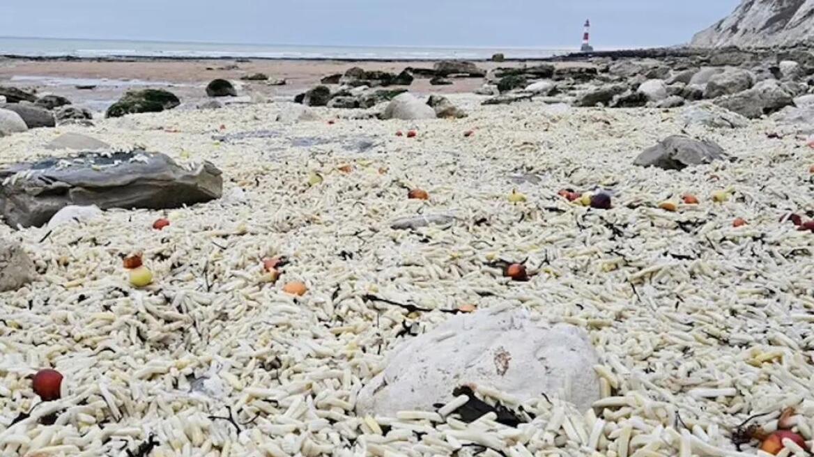 Χιλιάδες τηγανητές πατάτες και κρεμμύδια ξεβράστηκαν σε ακτή στη Βρετανία
