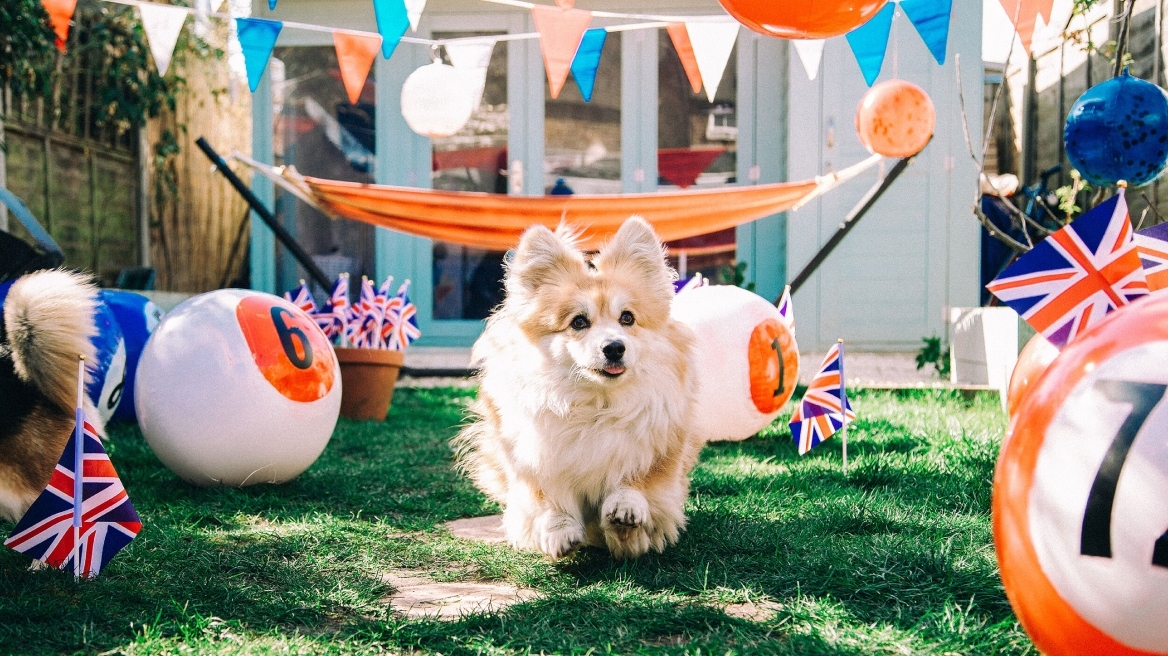 Άρθρο γνώμης στον Indepedent: Η Βρετανία έχει αντικαταστήσει τα παιδιά, με... σκύλους και αυτό δεν είναι υγιές