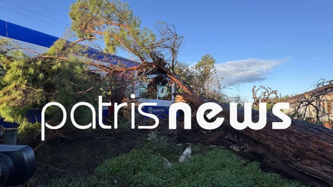 Συγκλονίζει η μαρτυρία του μηχανοδηγού στον Πύργο, «το δέντρο έπεφτε πάνω μου, σώθηκα από θαύμα», δείτε βίντεο