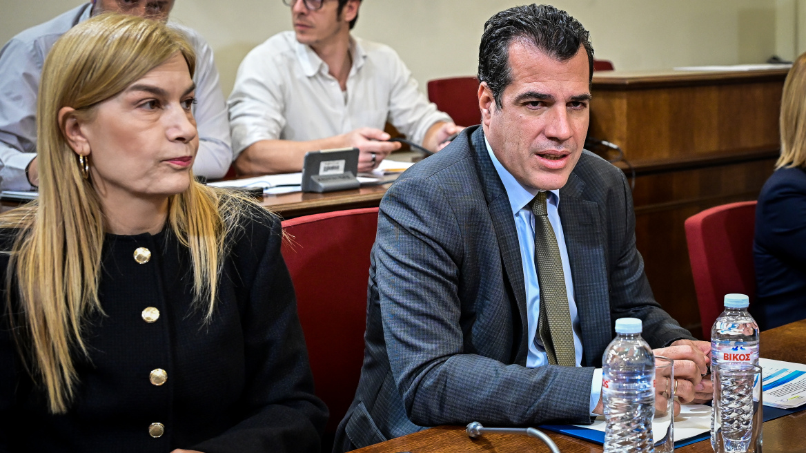 Πλεύρης: Καμία διαδικασία νομιμοποίησης για παράνομους μετανάστες - Όσες δυνατότητες έδωσε η Πολιτεία, τις έδωσε