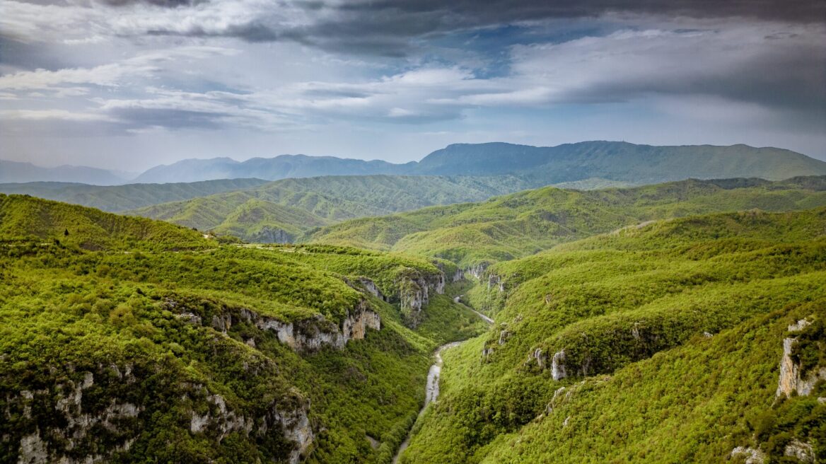 Οι Εθνικοί Δρυμοί της Ελλάδας: Μοναδικά οικοσυστήματα ζωής