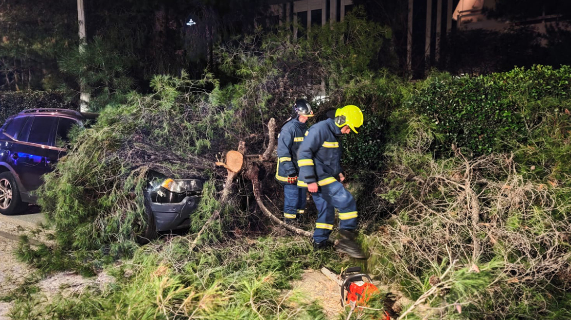 Δέντρο καταπλάκωσε αυτοκίνητο στο Χολαργό, δείτε φωτογραφίες