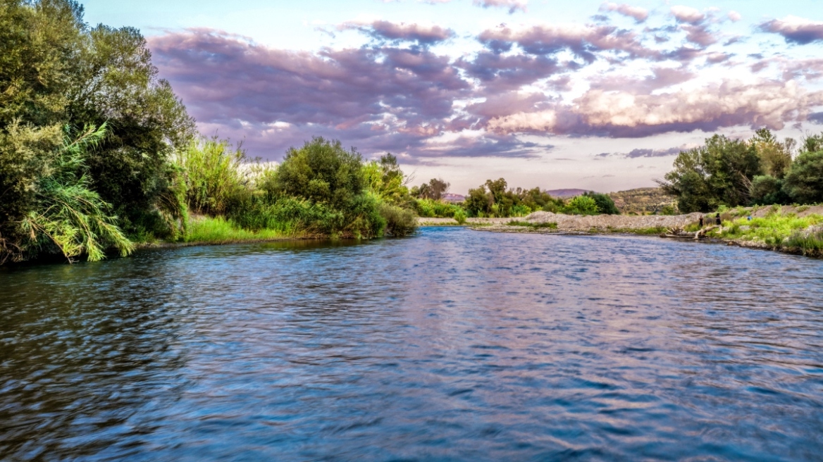 Δεκάδες νεκρά πρόβατα σε αποσύνθεση στον ποταμό Αλφειό